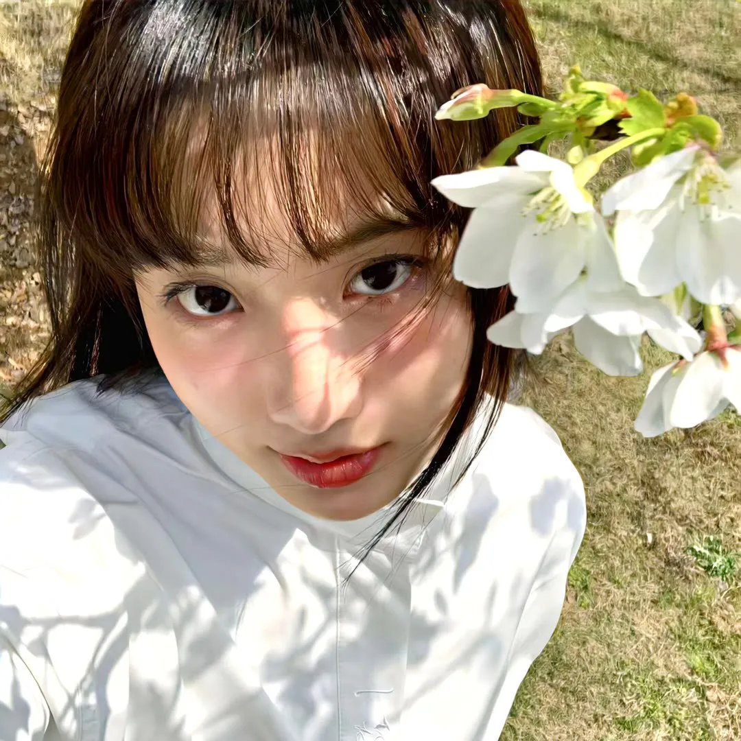 屋顶的公寓